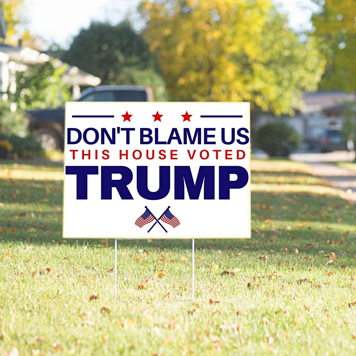 Don't Blame Us This House Voted Trump 18"x12" Double-Sided Yard Sign - 2 PIECES - LiberTee Shirts